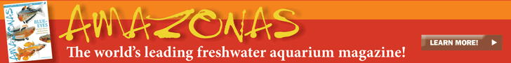 BCAS thanks Amazonas Magazine for being a Sponsor