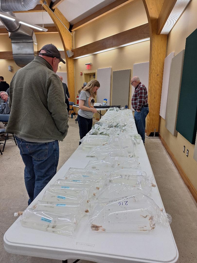 Bucks County Aquarium Society (BCAS) Meeting November 6, 2025 photo 1